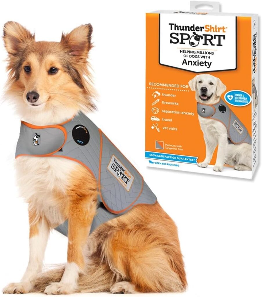 best dog accessories