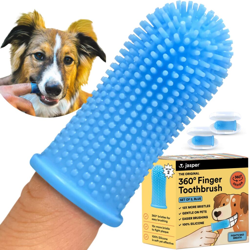 best dog accessories