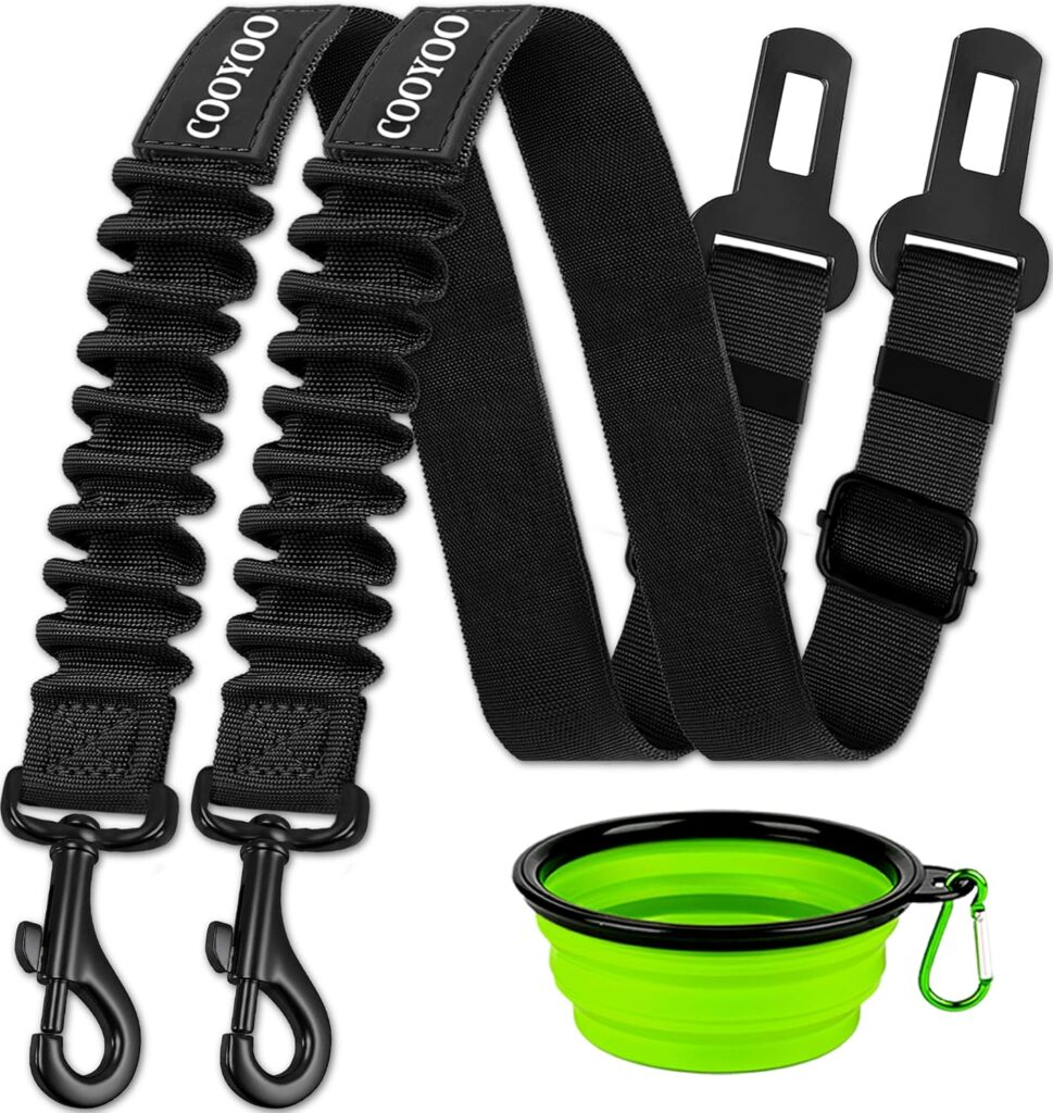 best dog accessories