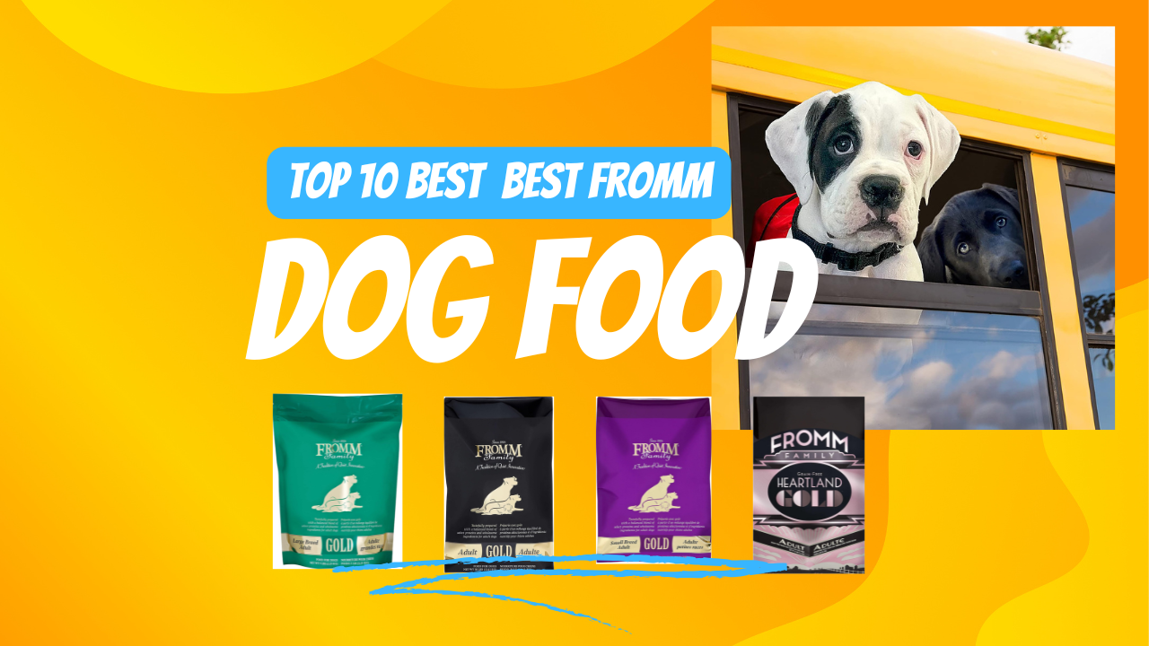 Best Fromm Dog Food